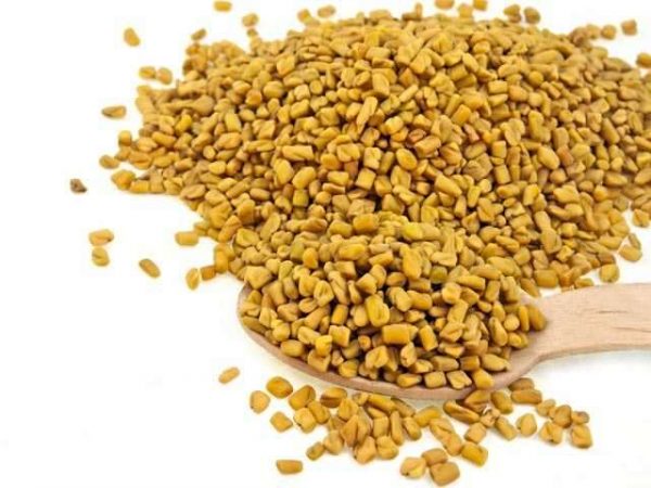 Methi seeds