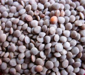 Masoor Whole 4lb