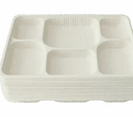 6 Section Plastic Dinner Plates