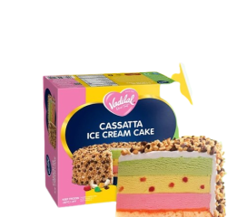 Vadilal Cassatta Ice cream Cake 500ml