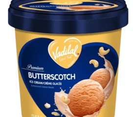 Vadilal Butter Scotch Ice Cream