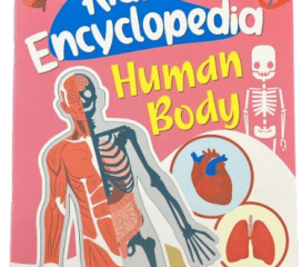 Kids Encyclopedia Human Body Stories Book