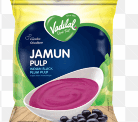 Vadilal Jamun Pulp