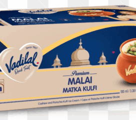 Vadilal Malai matka kulfi