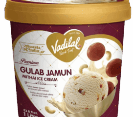 Vadilal Gulab Jamun Ice Cream