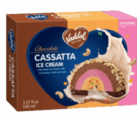 Vadilal Chocolate Cassatta Ice cream