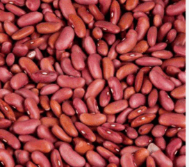 Patel’s Light Rajma