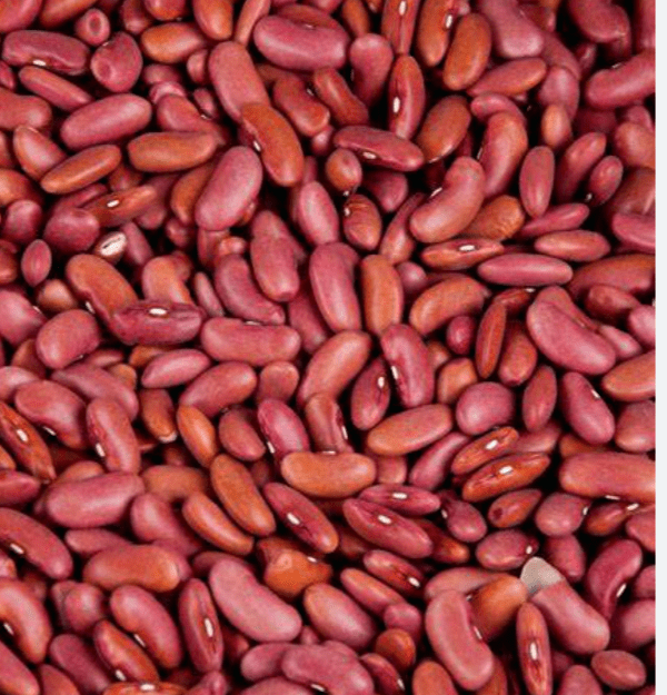 Patel’s Light Rajma