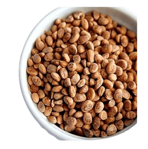 Charoli - Cuddapah almond - 100g