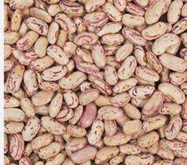 FTE Chitra Rajma Kidney Beans