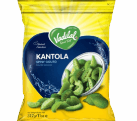 Vadilal Kantola