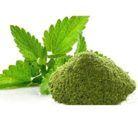 Vishva phudina powder - 100gm